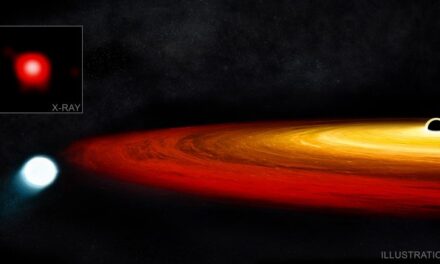 Star Captured by Supermassive Black Hole’s Gravity – And Survives!