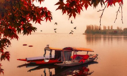 PHOTOGRAPHERS OF KASHMIR – a love story with camera